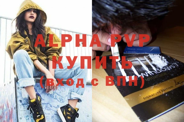 спиды Няндома