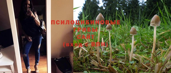 мескалин Нягань