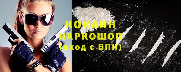 спиды Няндома