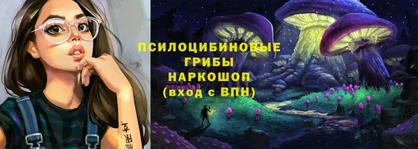 спиды Няндома