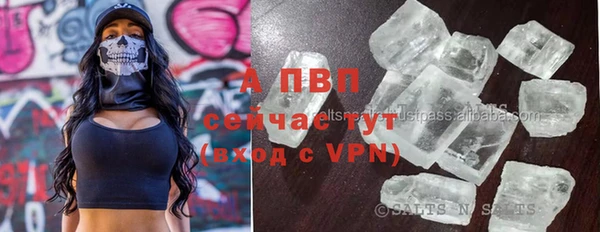 спиды Няндома