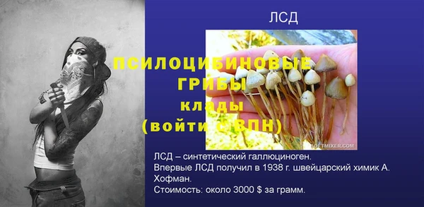 спиды Няндома